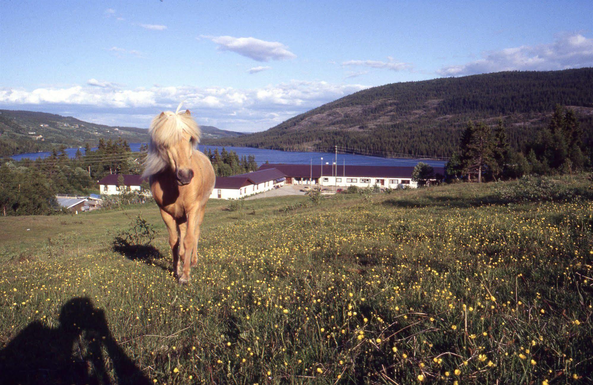 Valdres Hoyfjellshotell Steinsetbygdi Esterno foto